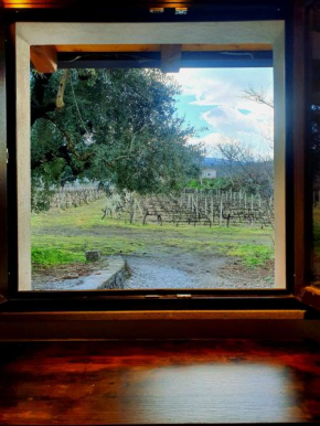 La finestra sul vigneto, Castiglione Di Sicilia